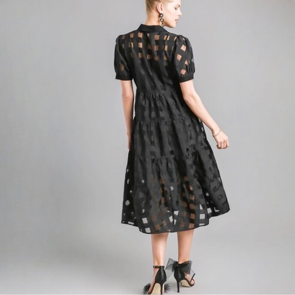 Basket Weave Organza Button Down Dress - Picture 6 of 7